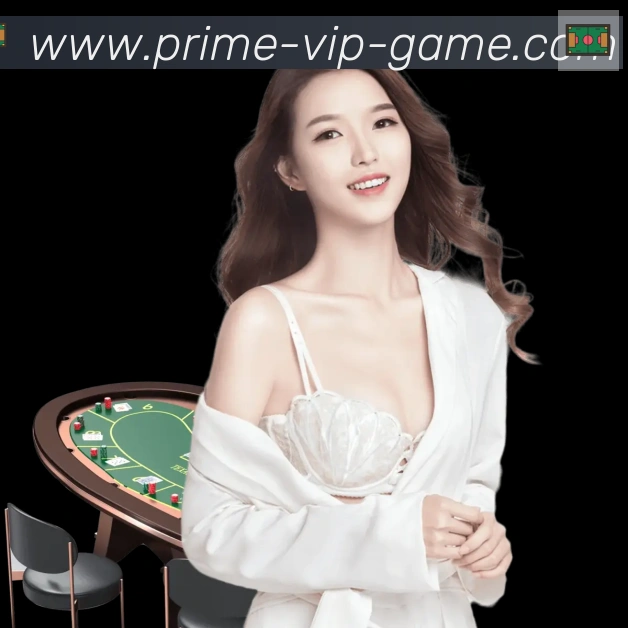 互动解说服务